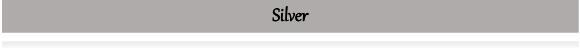 Silver level